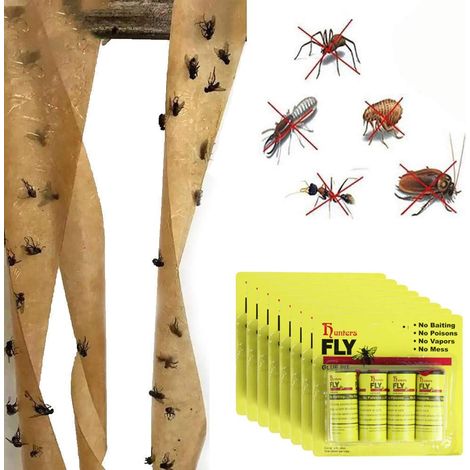 Piège à mouches, rouleau de papier anti-mouches, paquet de 16