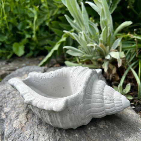 Betonfigur Muschel - naturgetreues, maritimes Dekoobjekt