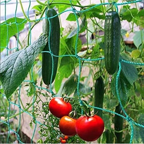 Weitmaschiges Kletternetz für eine besonders reiche Ernte von Gurken, Tomaten und anderem Gemüse sowie Kletterpflanzen – Maße: 1,827 m – Crezuo