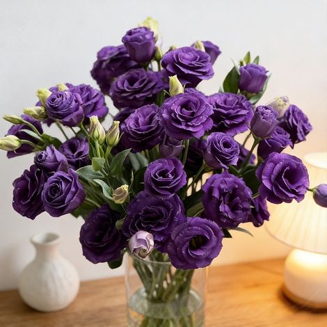 1000 Graines de Lisianthus Violet – Eustoma Grandiflorum, Fleurs Doubles Élégantes, Parfait Massifs et Balcon (1/4)