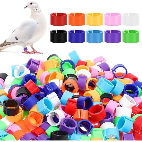 100 Bagues d'identification, 10mm, Plastique durable,, Pour volaille et oiseaux (1/5)