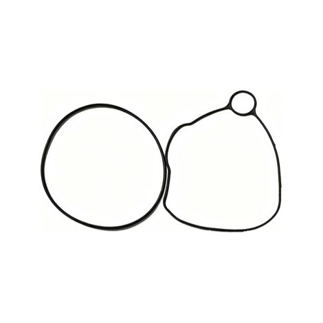 Kit de réparation pour pompe à vide (LR096061, LR077839, LR044962, LR104350, LR077857) (1/4)