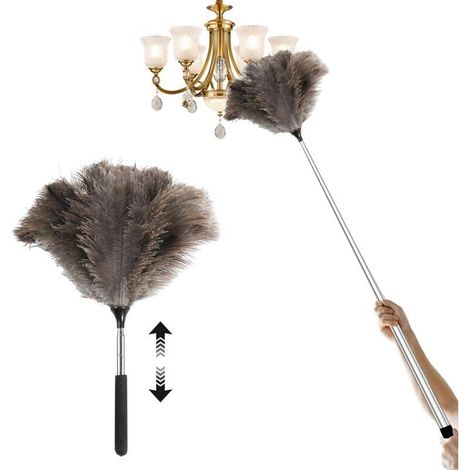 Plumeau télescopique Extensible en Plumes d’Autruche – Nettoyez Facilement plafonds Hauts et placards (115 cm) (1/4)