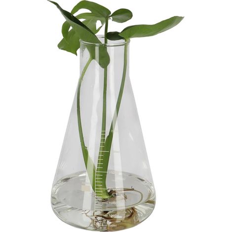 Bouteille Erlenmeyer XXL - Verre Transparent - 18,5 x 18,5 x H 31,7 cm - Livraison gratuite