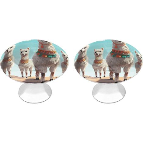 Lot de 2 boutons tiroir en acier inoxydable, 28 mm, motif flamme (1/5)