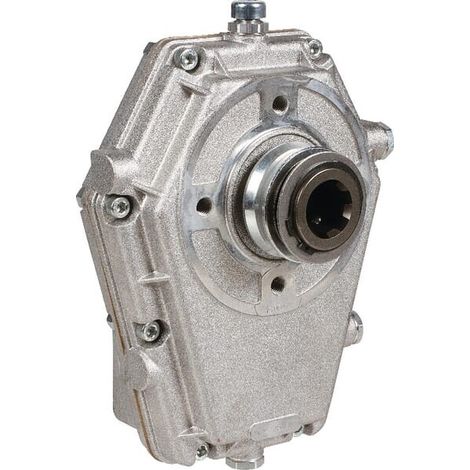 Engrenage BORELLI GBF30S325 (1/5)