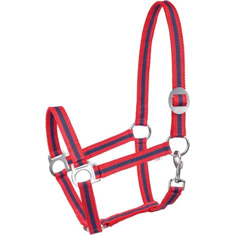 1 Licol Cheval Nylon Réglable Poney Cob Mousqueton Écurie (1/5)