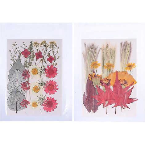 Lot de 2 fleurs séchées
