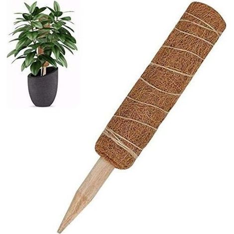 Kokosfaser-Stützstab für Kletterpflanzen, Moosstab für Zimmerpflanzen, 45 cm