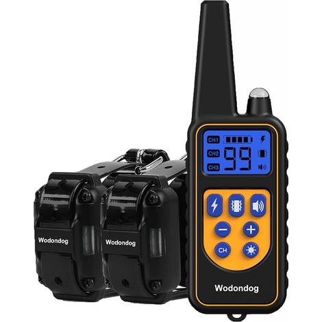 Collier de Dressage pour Chien, Collier Electrique pour Chien Étanche Rechargeable, Télécommande 1000m, 2 Colliers (1/5)