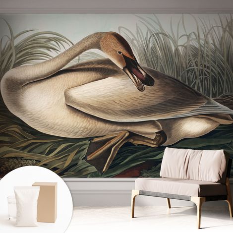 Tapete Vliestapete mit Kleber - trendige Wanddeko - elegant Fototapete für Wohnzimmer - Schlafzimmer Natürlicher Vogel 312x219 cm (1/5)