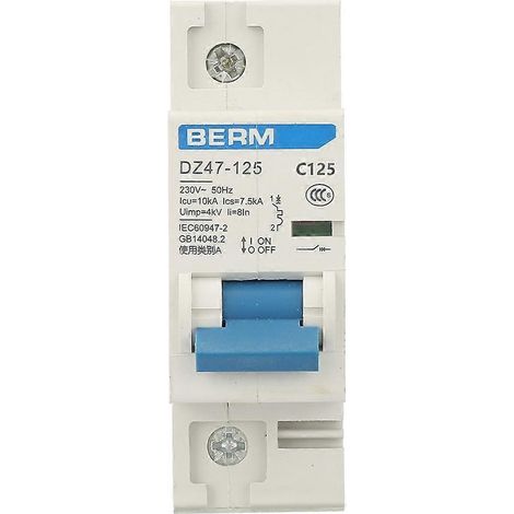 230V 80/100/125A Leistungsschalter DZ47-125 1P Miniatur-Leistungsschalter (125A)