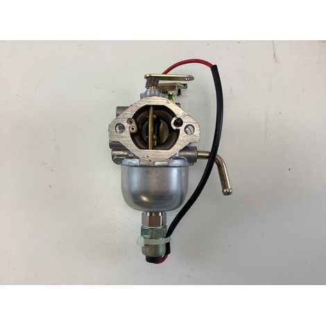 Carburatore motore trattorino tagliaerba ORIGINALE BRIGGS & STRATTON 825207 (1/4)