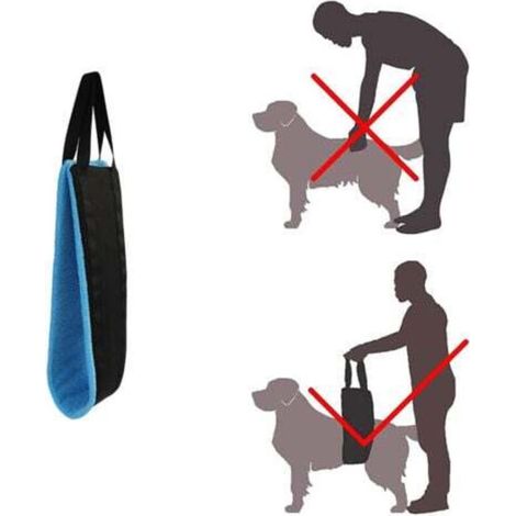 blue Porte-chien portable pour les pattes arrière, harnais de soutien des hanches pour aider à soulever l'arrière, pour la rééducation des ligaments croisés assistée par un chien.