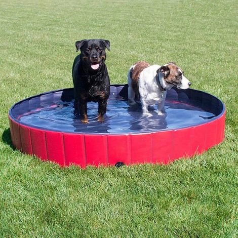 MINKUROW Forever Speed Piscina Para Perros, Piscina Para Perros, Piscina Para Gatos, Piscina Plegable, Bañera Para Niños, Pvc Ecológico, Antideslizante, Mascotas Bien Selladas, Regalos Para Niños (80  (1/5)