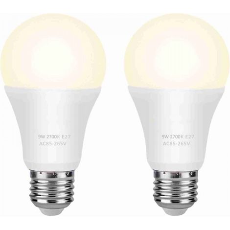 Ampoule néon LED, économie d'énergie, polyvalente, peut être utilisée dans les garages, les jardins, les cours (1/5)
