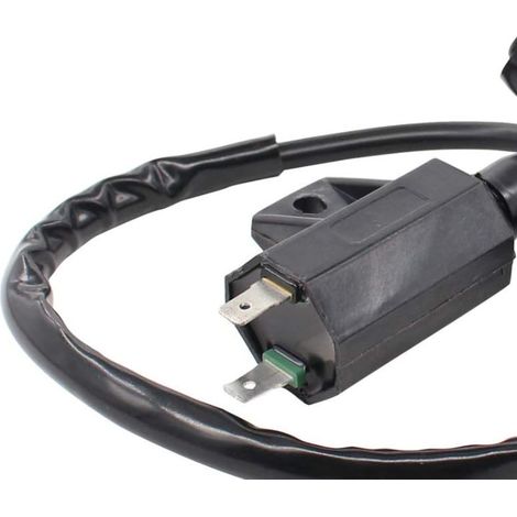 Hochspannungstransformator-Zündspule LT80 Quadsport 80 Z250 230 LT230S (1/4)