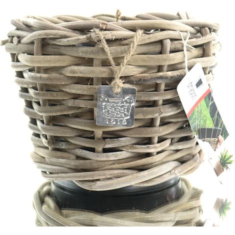 VAN DER LEEDEN DRYPOT® Rattan Pflanzgefäß Grau Ø ca. 20 cm - Sylter Körbe (1/3)