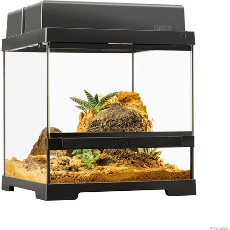 Pro Terrarium de Cristal Exo Terra XS 30x30cm