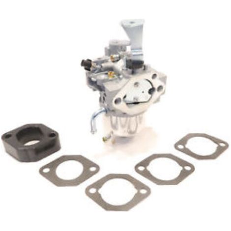 Carburateur CARBURATEUR Briggs & Stratton 715121 715443 715668 BLOW (1/5)