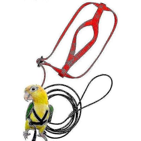 Sangle de traction extérieure pour harnais et laisse de perroquet, réglable, corde d'entraînement anti-morsure, plusieurs pièces (1/5)