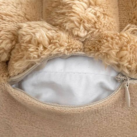 2PCS Velours Taie d'oreiller, Taies d'oreiller, Doux et Moderne Coussin Coussins, Lavable, Rose, 45x45 cm (1/4)