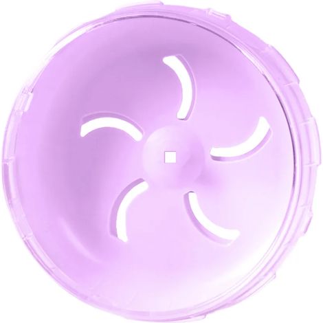Roue d'exercice pour hamster à bords lisses et résistants aux morsures, jouet d'exercice pour hamster et cochon d'Inde, accessoires pour animaux de compagnie (1/5)