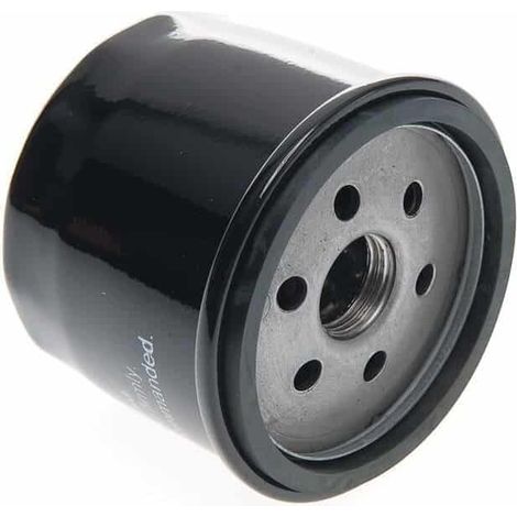 1 Filtre À Huile - 57 mm x 74 mm - 25-30 Microns - Pour Moteurs Briggs Et Stratton Et Tecumseh - Référence Équivalente 492056 492932 696854 (1/5)
