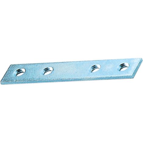 BL LASTRINA A 4 FORI DIRITTA 40 MM 5 PZ- ALDEGHI LUIGI SPA- 5,0 blister