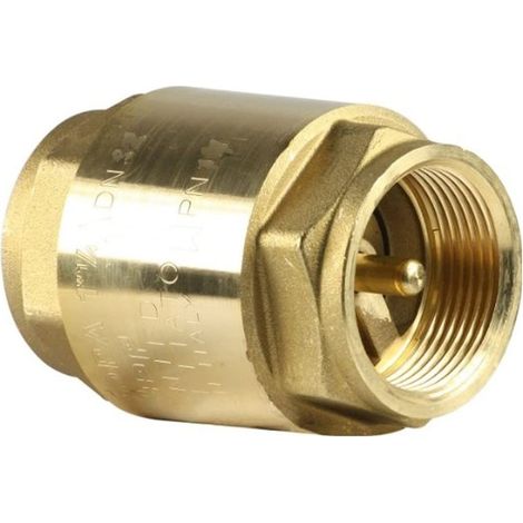 Valvola di Non Ritorno Europa® in Ottone da 1/2 pollice