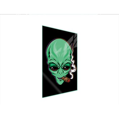 Glasschneidebrett 35x52 UFO (1/5)