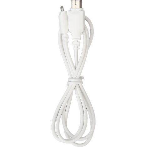 Câble de connexion récepteur 2 broches pour appareil auditif Siemens, amplificateur de son accessoire (1/5)