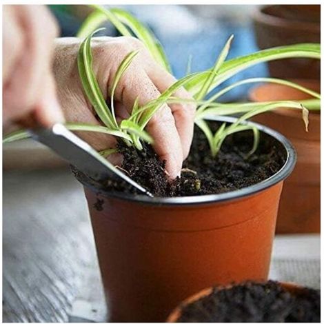 Petits pots de fleurs, lot de 100 pots réutilisables pour semis/pépinières, pots ronds en plastique pour rempotage/plantation, pour la culture intérieure et extérieure, 10 cm (1/3)