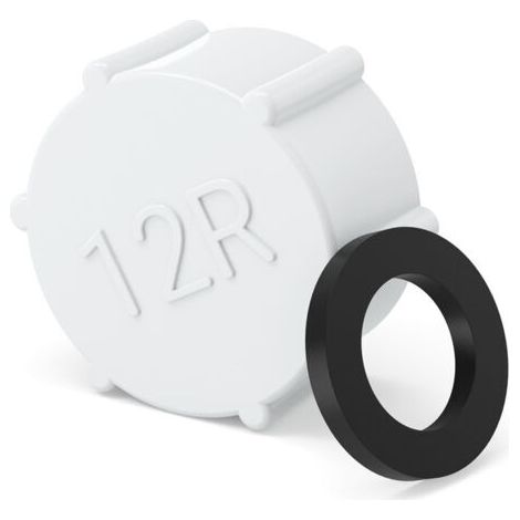 Ablassschraube und Dichtung für Intex Sandfilter 11456 (1/5)