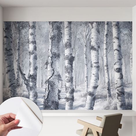 Tapete adhésive moderne pour salon et chambre à coucher Décoration rapide avec colle Nature hivernale 152x104 cm (1/5)