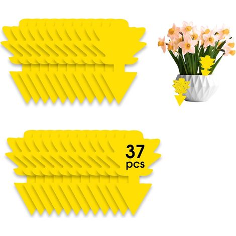 37 Pièges à Insectes, Anti Moucherons Interieur, lutte antiparasitaire sans insecticide, stickers jaunes, piège à mouches ultra-efficace, piège à mouches des fruits pour