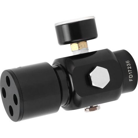 Régulateur de CO2 miniature en acier inoxydable, détendeur portable pour fût de bière domestique (1/5)