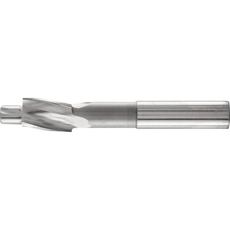 PFERD FRAISE PLATE HSS AVEC TOURILLON DE GUIDAGE Ø 15,0 MM, TIGE Ø 12,5 MM, DIN 373, FINE 25203104 - POUR TROUS DE PASSAGE (1/5)