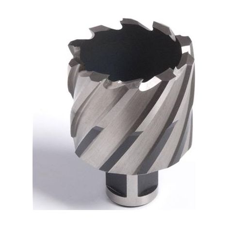 Evolution – Fraise à carotter courte HSS Weldon 19mm – Diamètre 12mm pour acier – Coupe précise et nette – Outil professionnel (1/2)