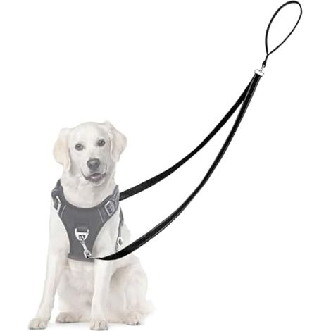 Laisse pour chien à double contrôle, laisse anti-traction professionnelle avec coutures réfléchissantes et rembourrage doux, convertible en laisse simple (Noir) (1/5)