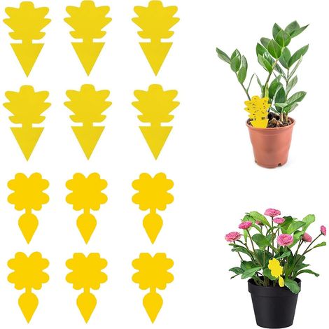 20 Pcs Attrape Moucheron, Anti Moucherons Interieur, Attrape Moucheron Interieur, Anti Moucherons Interieur Cuisine, Piege Moucherons Cuisine Sticky Bug Catchers for Houseplants, Garden Flowers (1/5)