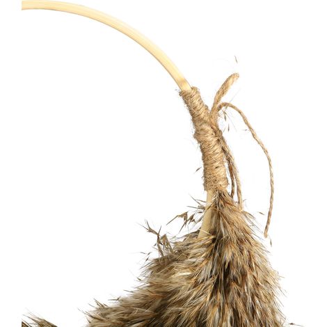 Couronne de Pampa Moelleuse et Élégante pour Salon, Chambre ou Bureau (1/5)