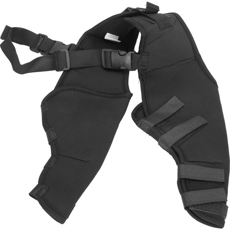 Genouillère Pour Chien - Protection Orthopédique Post-Chirurgie Ou Blessure - Soutien Stabilisant Pour Articulation Du Postérieur - 1 Pièce (1/5)