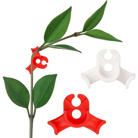 Pinces pour branches de plantes - Pour plier les plantes et changer leur orientation, ZQKLA (1/5)