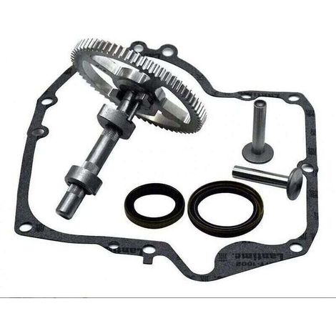 Arbres à cames Briggs & Stratton 793880 793583 792681 791942 795102 Kit de remplacement de came..