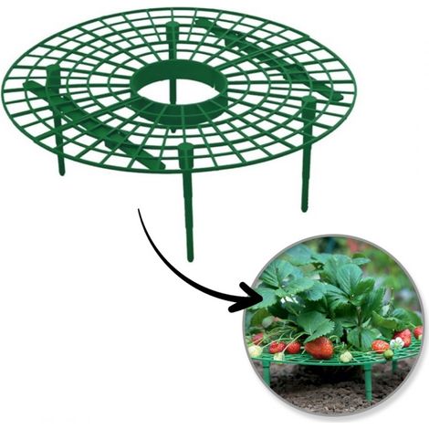Pflanzenständer, Erdbeerstütze, 30 cm, Garten-Fäulnisschutz (1/5)