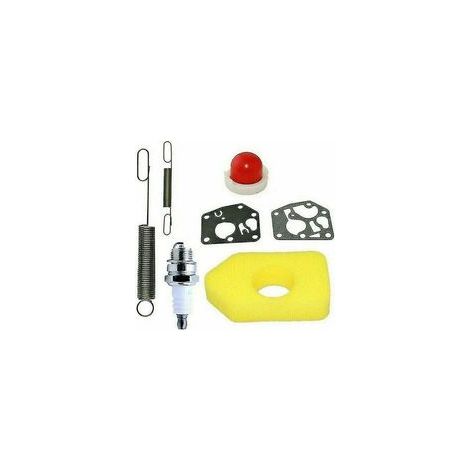 Rasenmäher-Wartungsset, Briggs & Stratton Classic Sprint Luftfilter, Dichtungen und Zündkerze, für den privaten und professionellen Gebrauch (1/5)