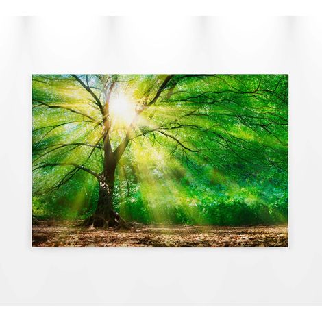 Tableau pour couloir arbre & rayons du soleil | Tableau sur toile bureau & chambre adulte verte | Tableau rectangulaire forêt 0,9 x 0,6 m (1/5)