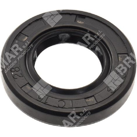 Paraolio motoseghe PROGREEN - 054864
