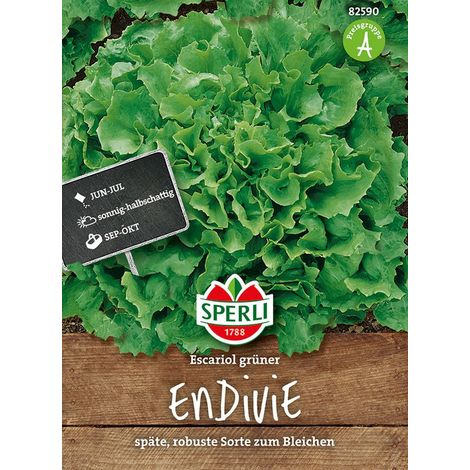 Sperli – Scarole verte « Grüner Escariol » – Graines de légumes, variété tardive et robuste, cœur ferme, 25 cm (1/2)